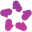 AskNicely logo