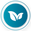 Sprout AI logo