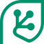 Cash Flow Frog logo