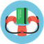 Stunning logo
