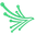 Black Kite logo
