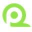 QPoint Survey logo