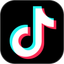 TikTok Lead Generation logo