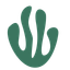 Greenspark logo