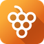 Product Fruits logo
