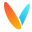 Videomagic logo