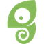 Chameleon logo