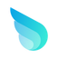 Wiredash logo