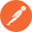 Postman logo