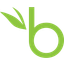 BambooHR logo