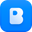 Birdie Screen Recording logo