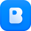 Birdie Screen Recording logo