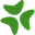 Bloomerang logotipo