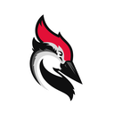 Woodpecker.co integration logo