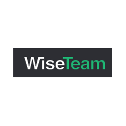 wiseteam logo