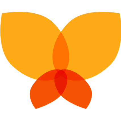 alis logo