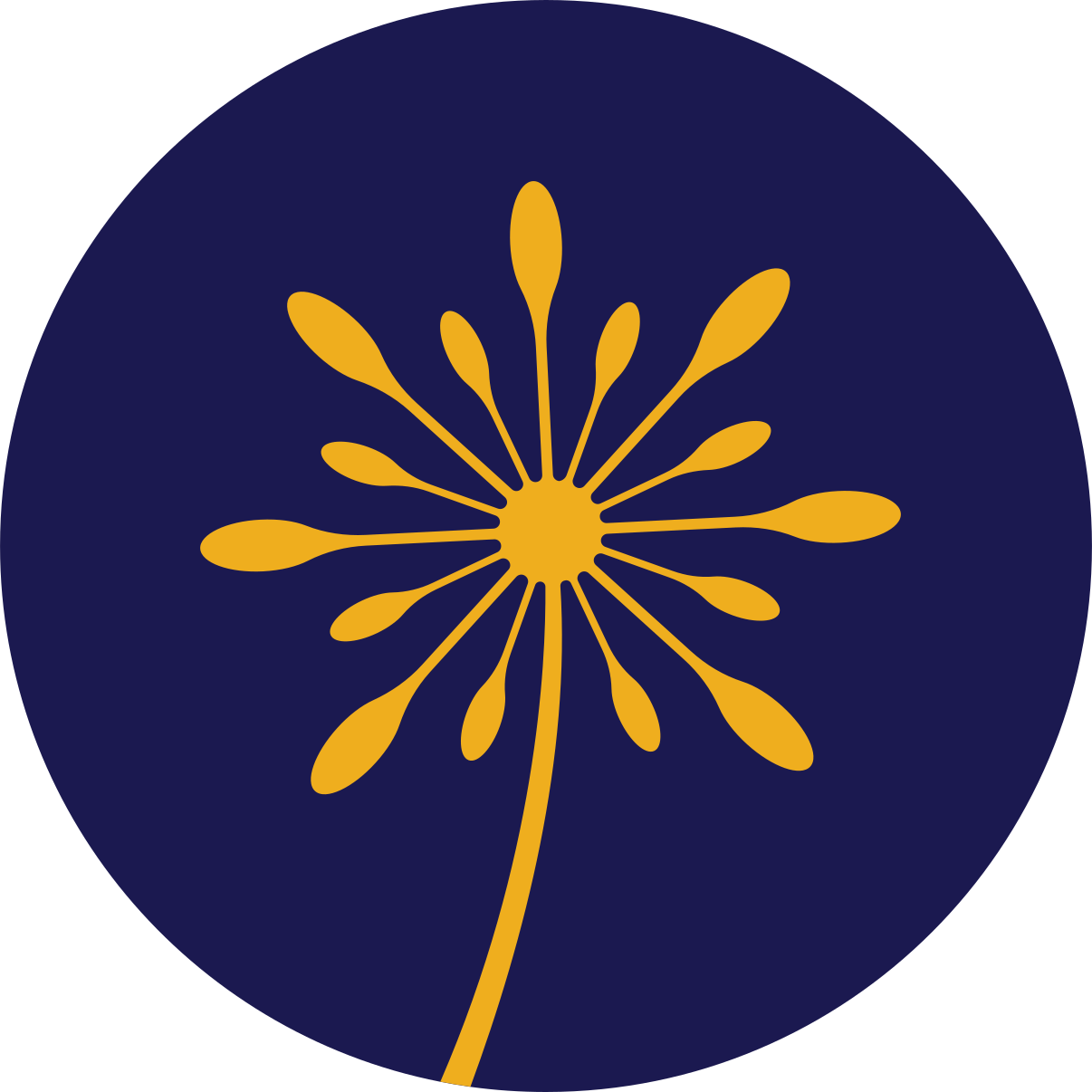 cufinder logo
