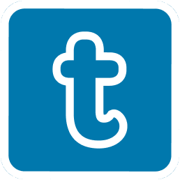Toolsey logo