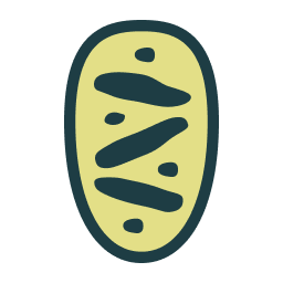 MyZenTeam logo