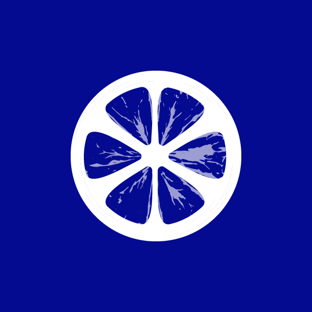 limoexpress logo