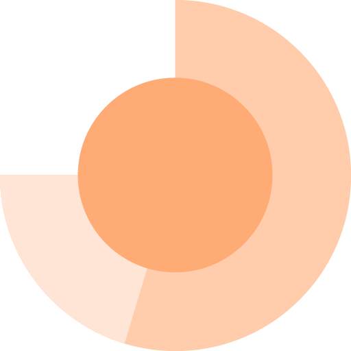 raytio logo