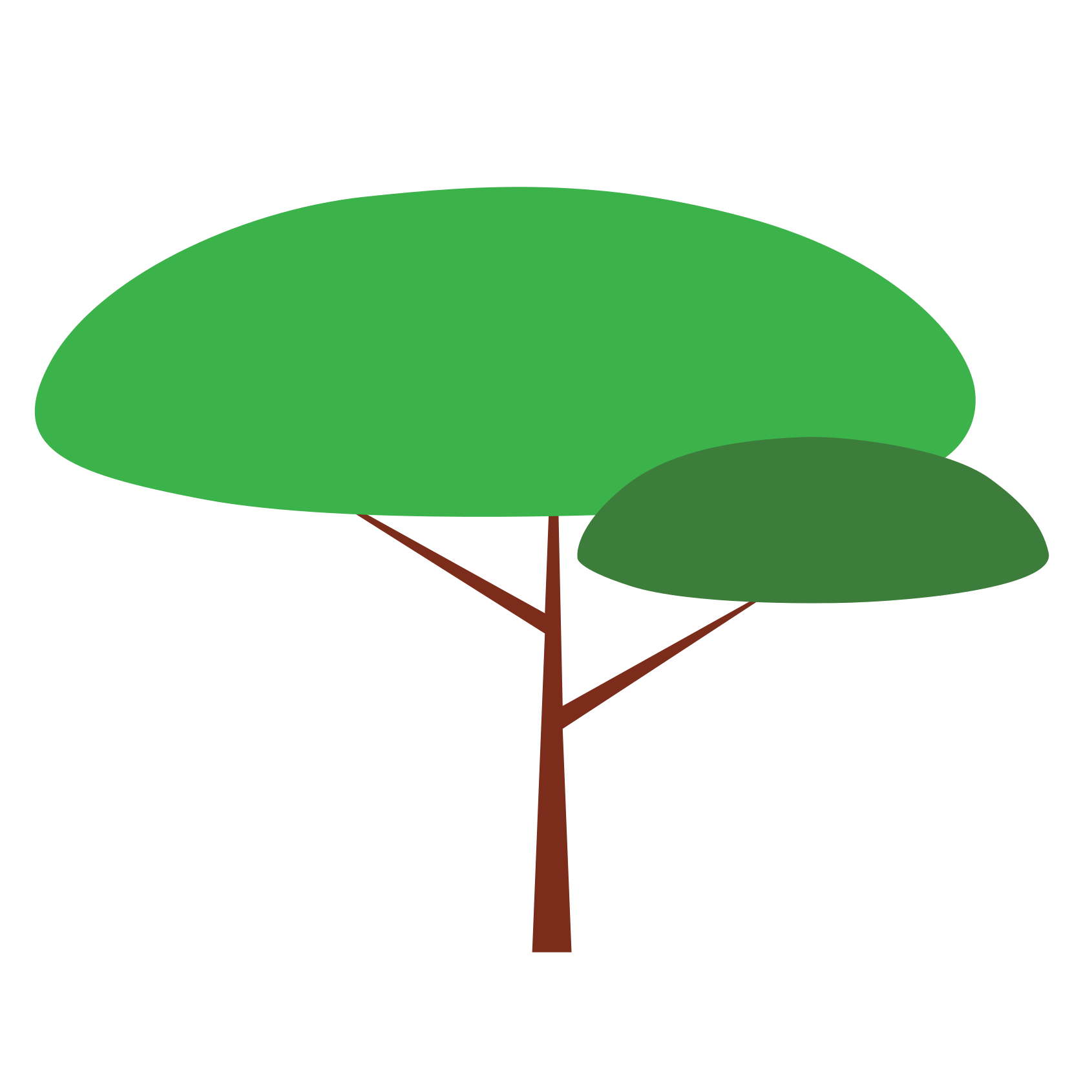 CareTree