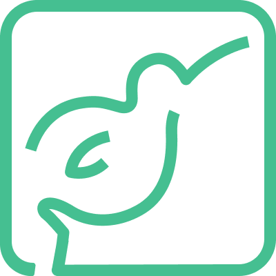 kiwilaunch logo