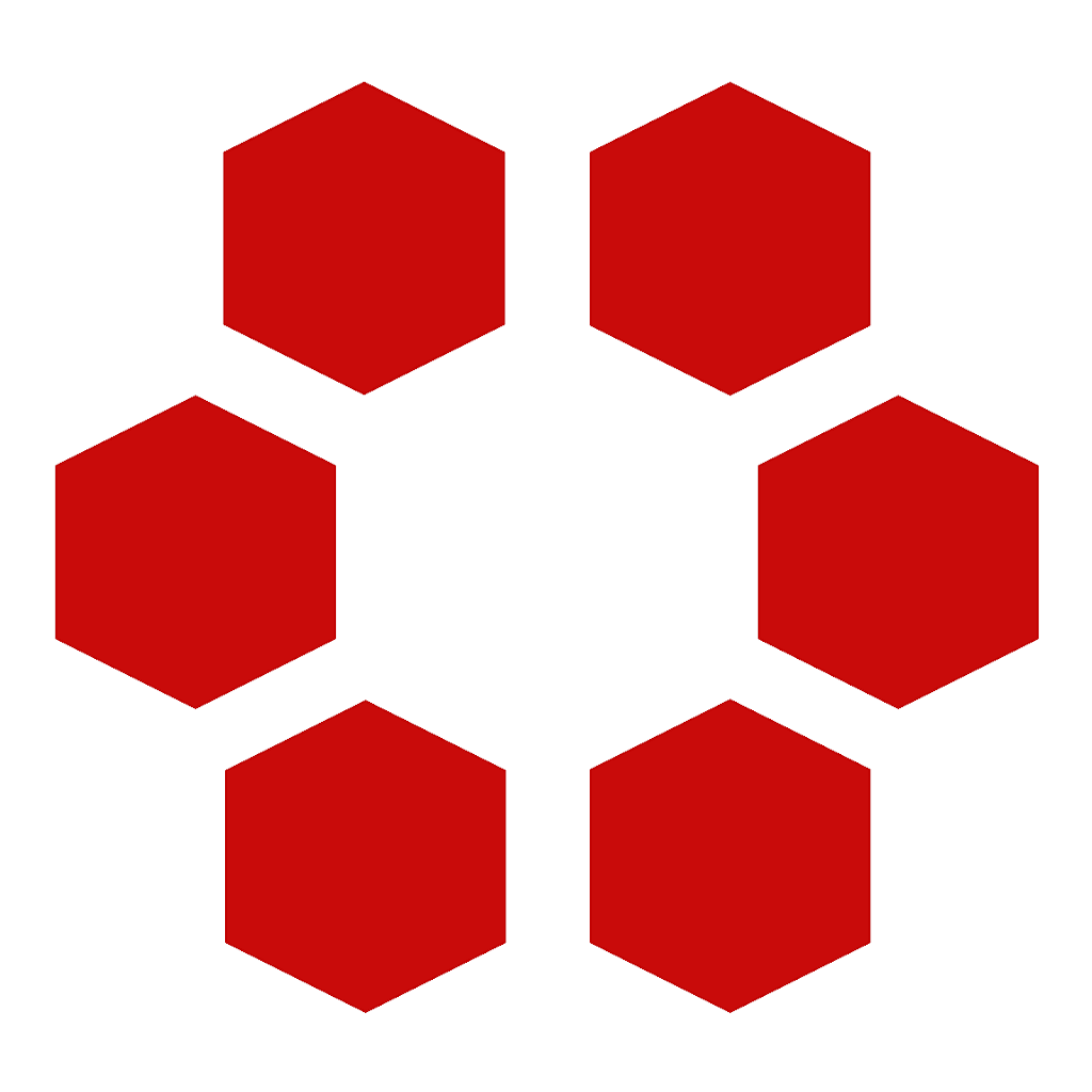 Six Disciplines logo