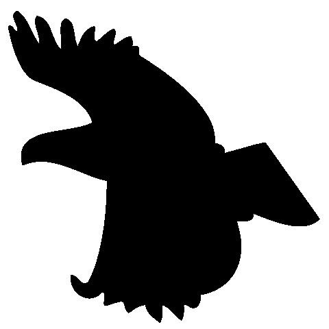 SMSEagle