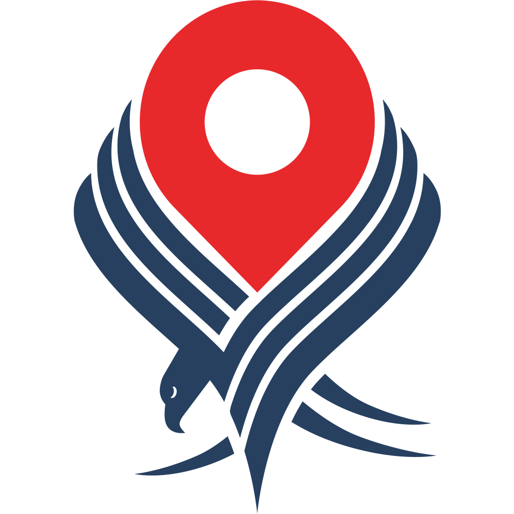 Integrate Local Falcon with Web Success Insights