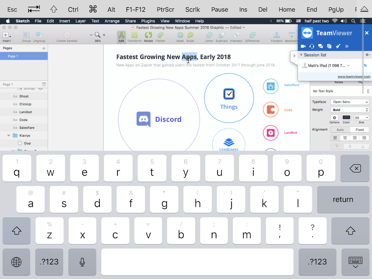 TeamViewer iPad