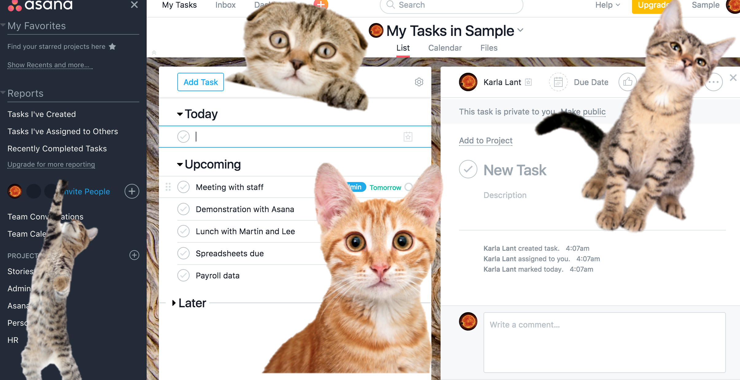 Asana experimental features