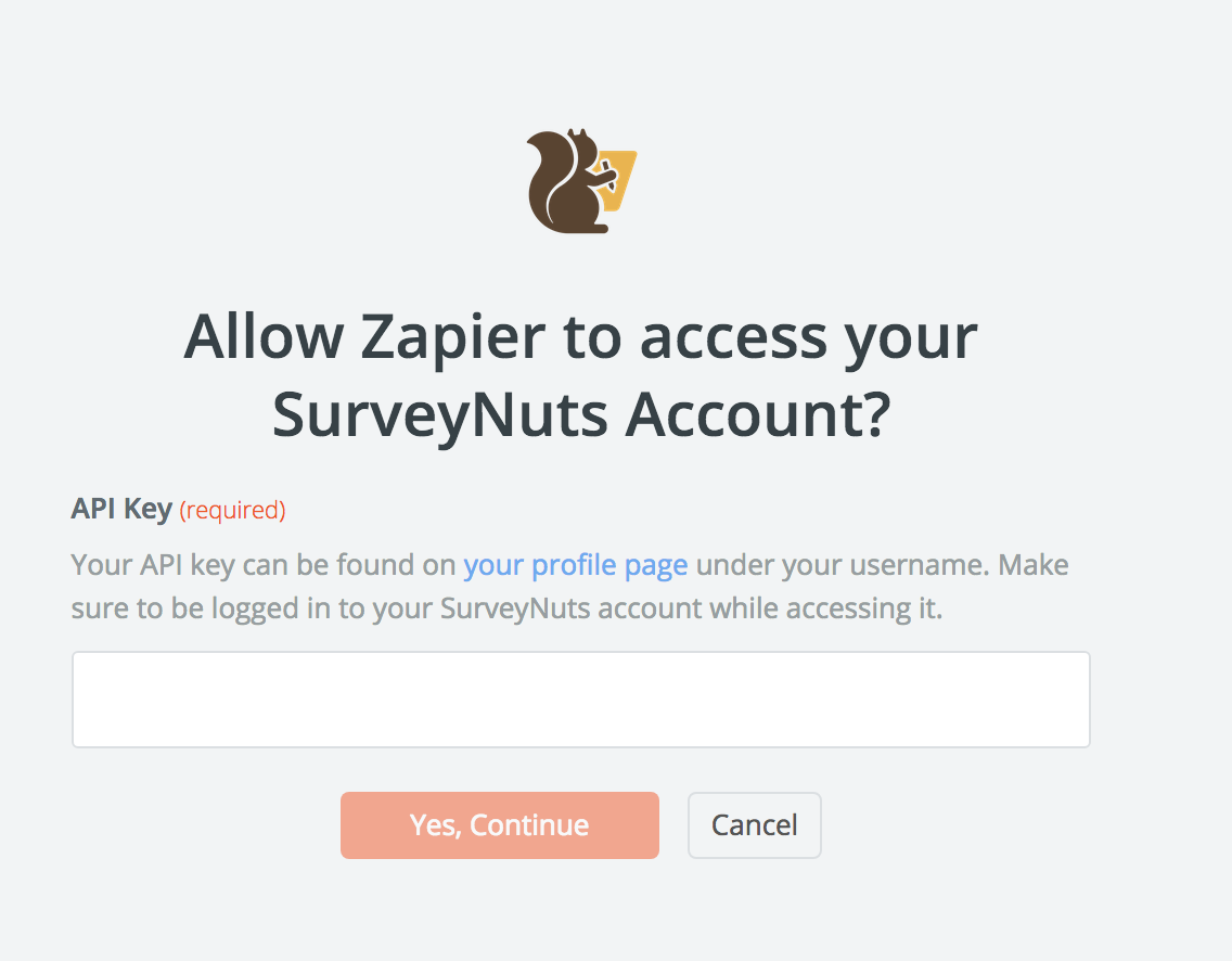 SurveyNuts API Key