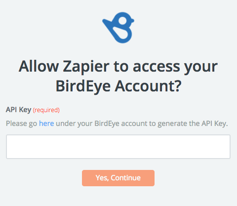 BirdEye API Key