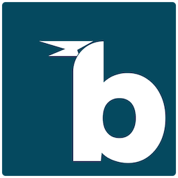 birdie logo