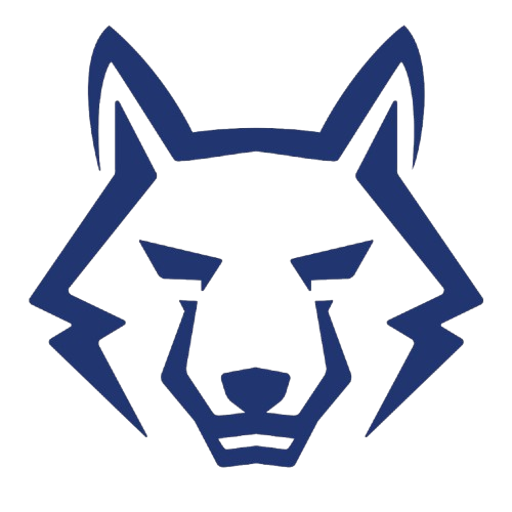 MSP Process logo
