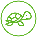 Tortii logo