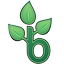 ico