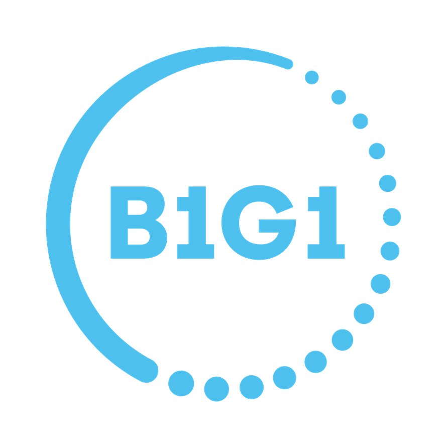 B1G1 logo