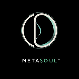 metasoul logo