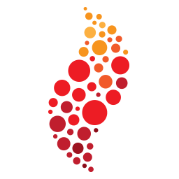 bloomfire logo